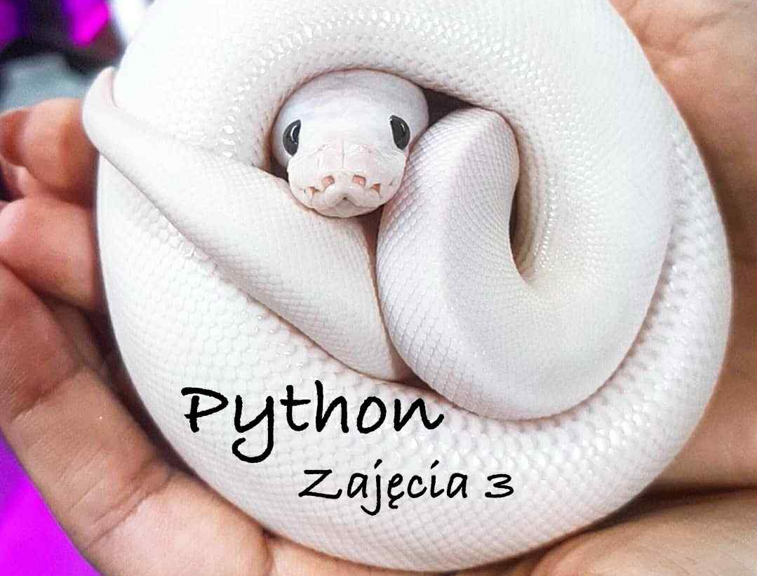 Warunki i porównania