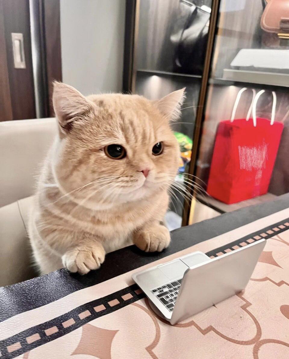 ,,Kursor prawdę Ci powie" Fusion - skróty klawiaturowe i nawigacja 13.08