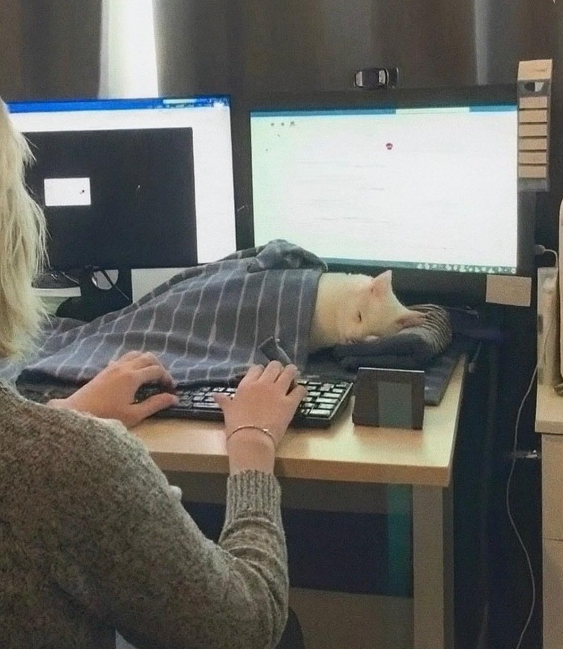 Czym jest CAD? Kurs 3D (13.08)