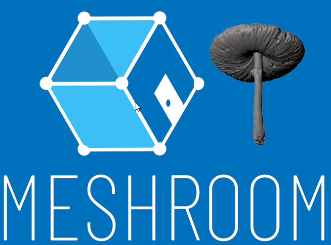 warsztaty dzień 6 (10.11.2024) skanowanie 3D, Meshroom,