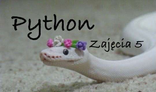 Pętla for (żółwik) + zadania