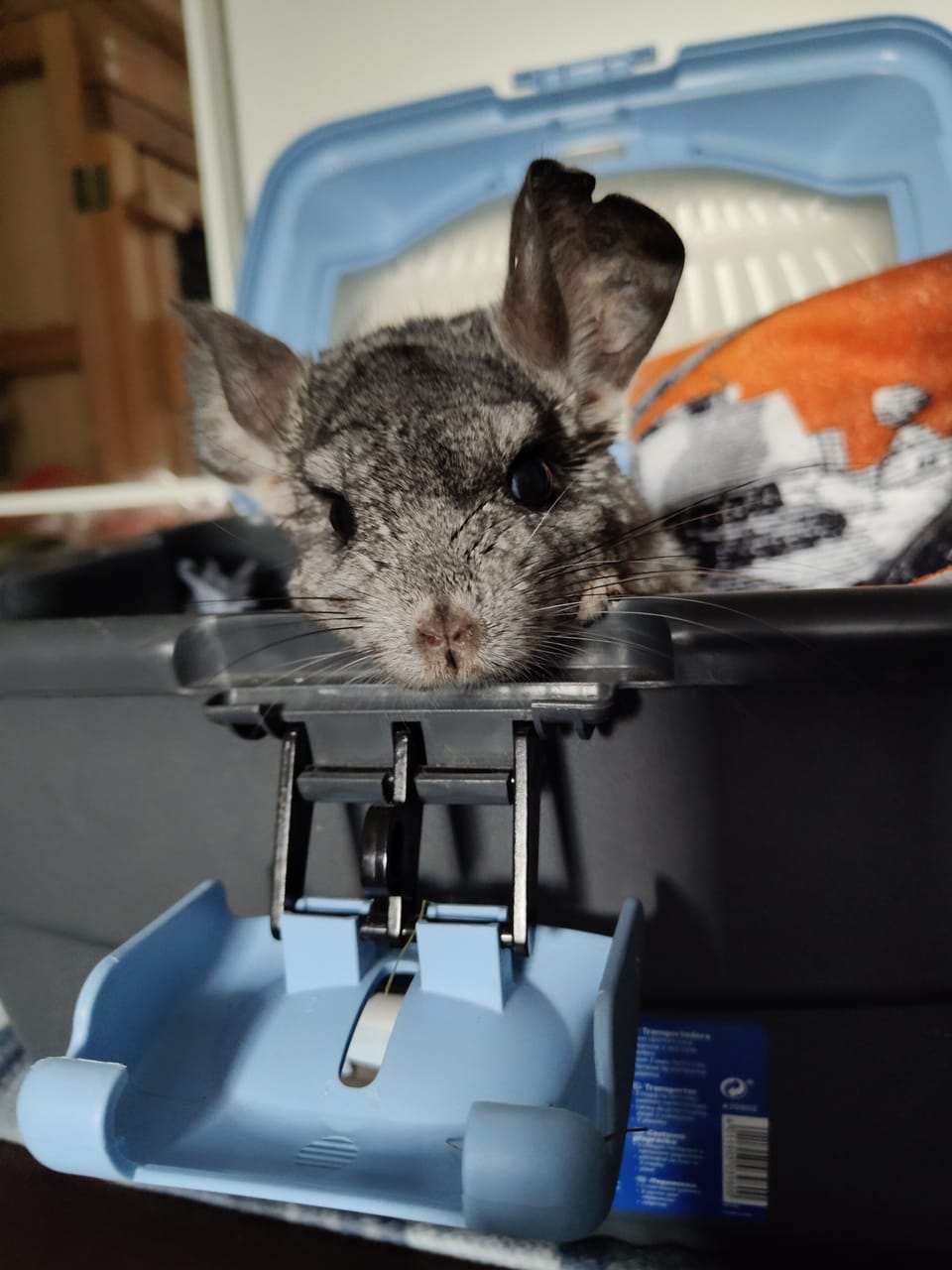 ostatnie zadania domowe z edycji 2d