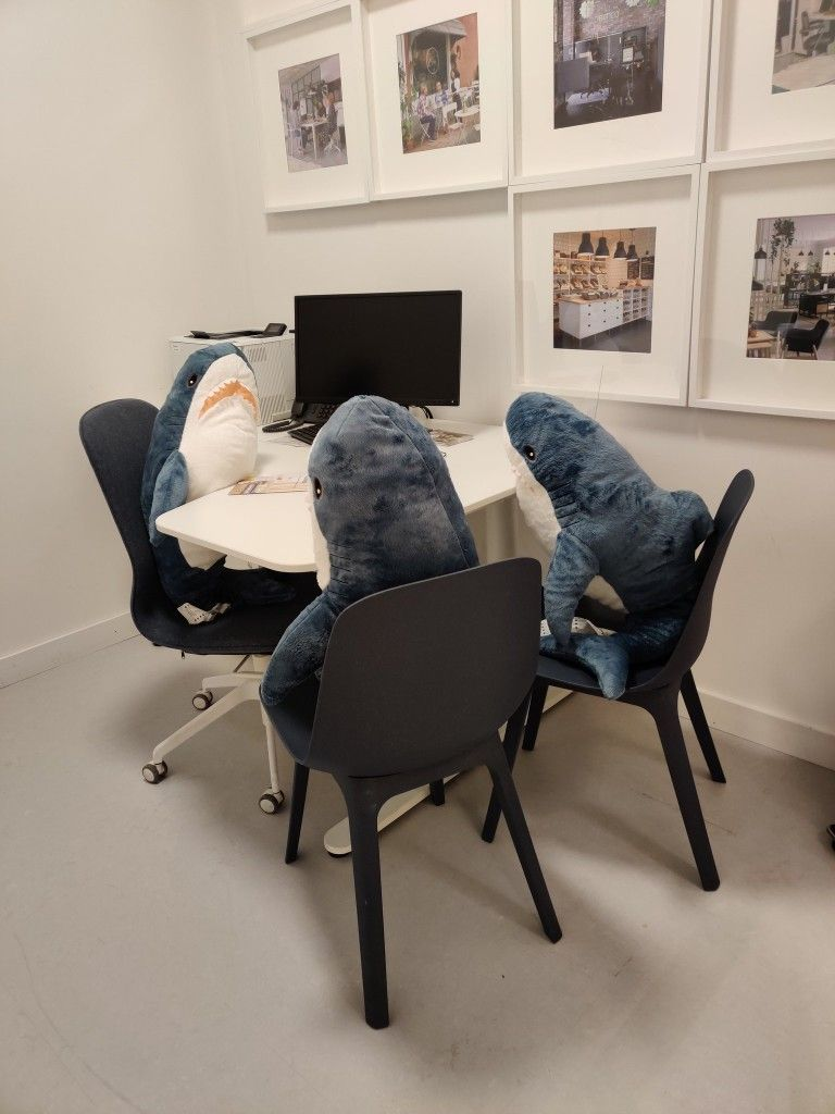 Konsultacje mentorskie