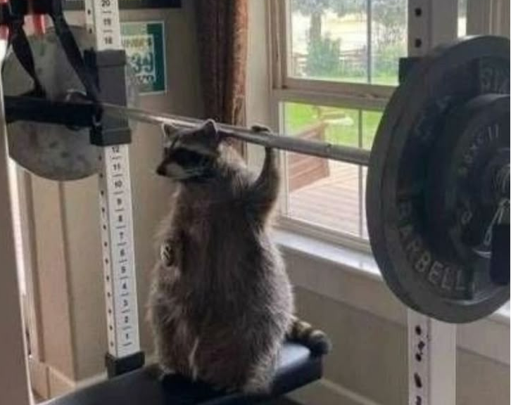 parametry i funkcje REVOLVE - screeny