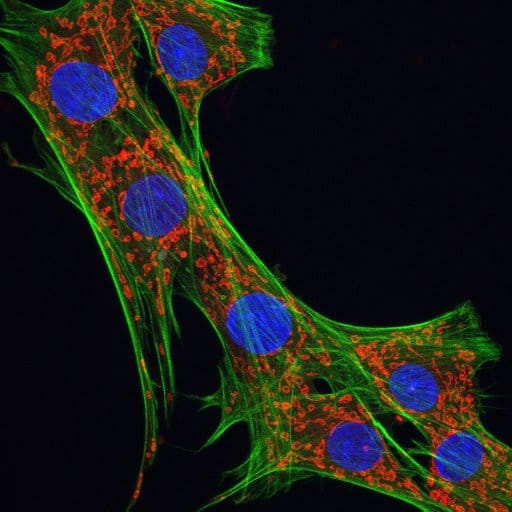 2025/10/09 Python - po pierwszych zajęciach